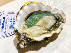 -普朗姆生蚝吧(原建国路店)
