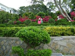 -鼓浪屿钢琴博物馆