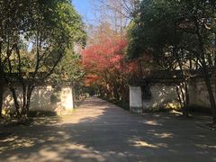 -柯岩风景区