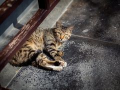 -龙华寺