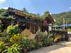 -Jungle Kitchen