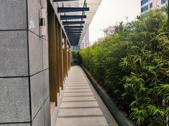 -御彩酒家(东风东路店)