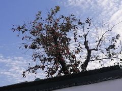 -北寺塔