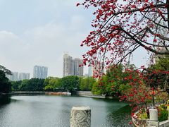 -东山湖公园