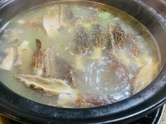 -蘑统田下·野生菌火锅