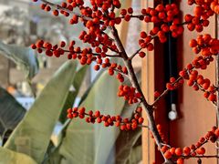 -PUZZLE COFFEE 拼图咖啡