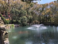 -普陀山风景名胜区-法雨禅寺
