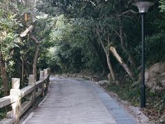 -东澳岛