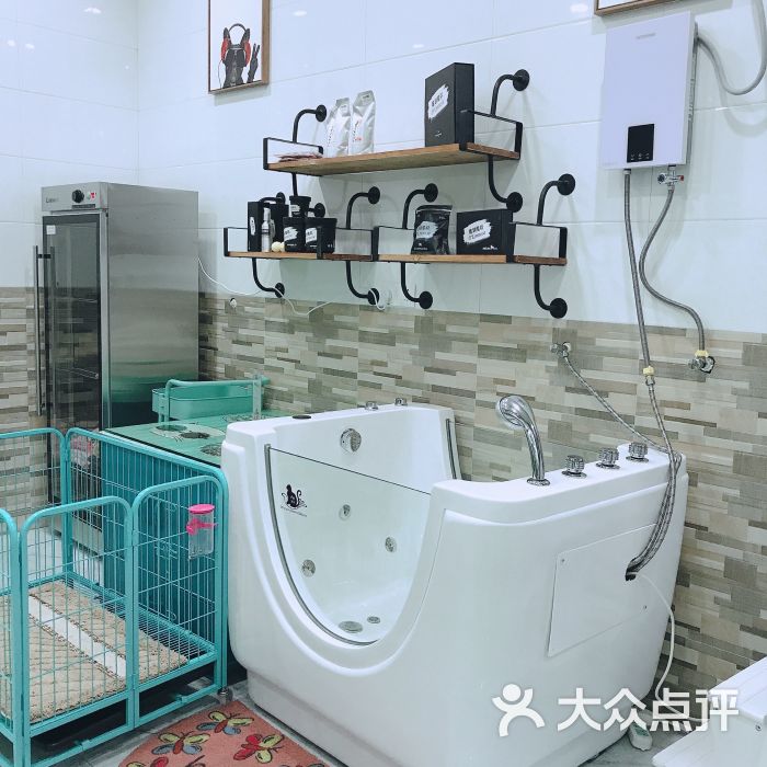 顽趣高端宠物会所图片 - 第5张