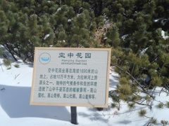 -凤凰山国家森林公园
