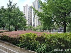 -苏州河梦清园环保主题公园