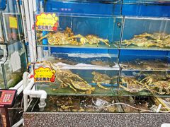 水产区-蚝专家(北滘店)