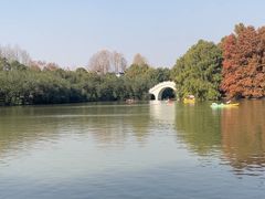 -上海海湾国家森林公园