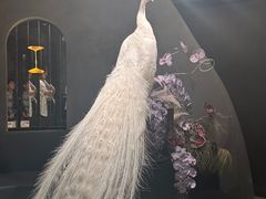 -滇野云南野生菌餐厅(陕西南路店)