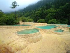 -黄龙山原始森林景区