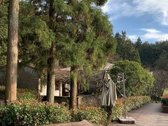 -溪口商量岗景区