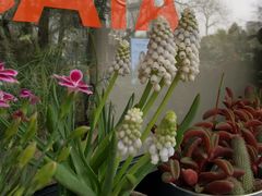 -BOCATA 西班牙餐厅(三里屯店)