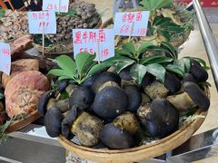 -海埂温馨饭店(金海荟·商业中心店)