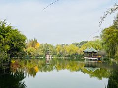 -棠湖公园