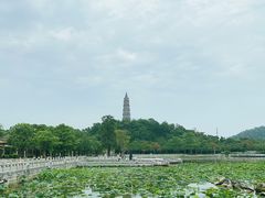 -顺峰山公园