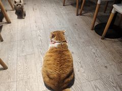 -小时光咖啡馆(北锣鼓巷店)