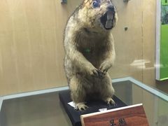 -陕西自然博物馆