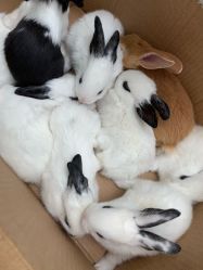 -LEE TIME·丽美时沙龙