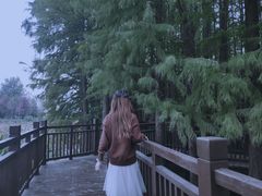 -东湖落雁景区