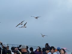 -星海广场