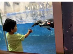 -中央电视塔旋转餐厅