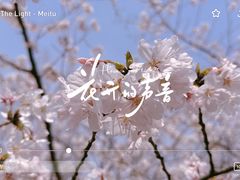 -大宁公园