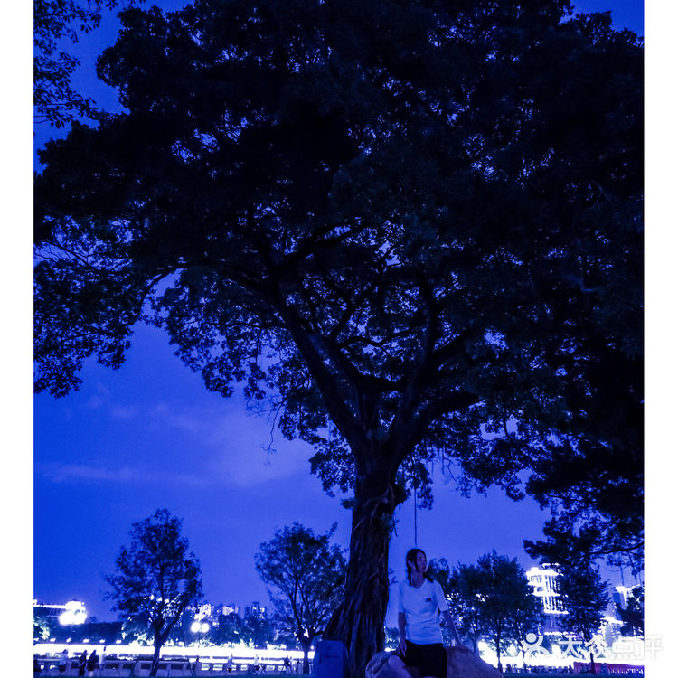 广州旅行：白鹅潭边上夜景超美的0元公园