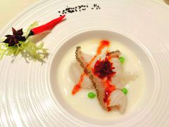 xo酱白玉蒸斑丸子鱼-利苑酒家(金宝店)