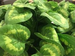 -面点王(石厦分店)