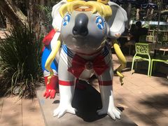 -可伦宾野生动物保护区