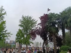 -大雁塔北广场音乐喷泉