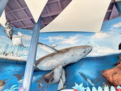 -海合安天津极地海洋公园
