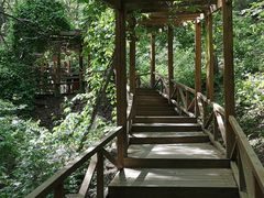 -大岭沟猕猴桃谷风景区