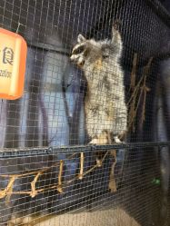 -酷嗒动物文化乐园(cutezoo西溪乐天城店)