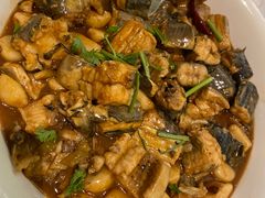 辣烧活鳗林-开海·红岛海鲜虾水饺(石老人店)