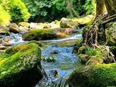 -青城山