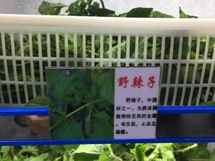 -黔府豆米火锅野菜馆(南马店)