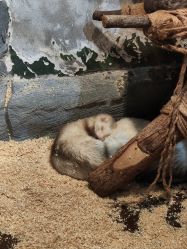 -Zoolung Zoolung动物主题公园(海信广场店)