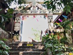 -西双版纳原始森林公园