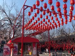 -祥源·阜阳生态乐园