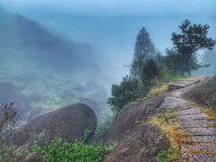 -玉苍山国家森林公园