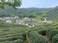 -龙井村