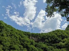 -黑河国家森林公园