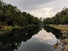 -满都海公园