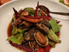 辣炒小鲍鱼-船歌·鱼水饺青岛菜(闽江二路店)